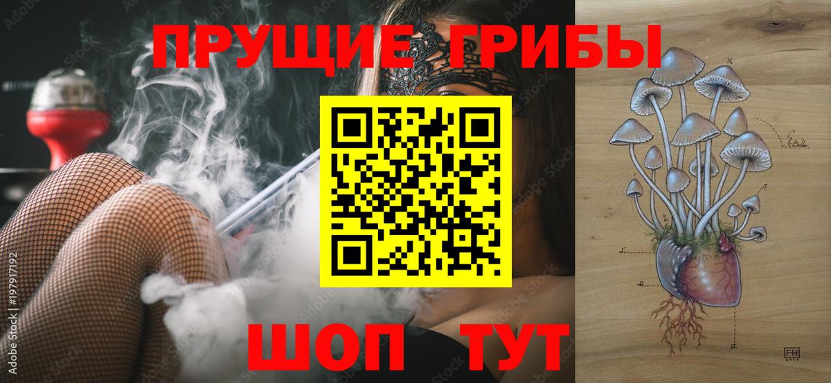 Углич  Галлюциногенные грибы Psilocybine cubensis  Псилоцибиновые грибы Psilocybine cubensis  Вход с VPN 