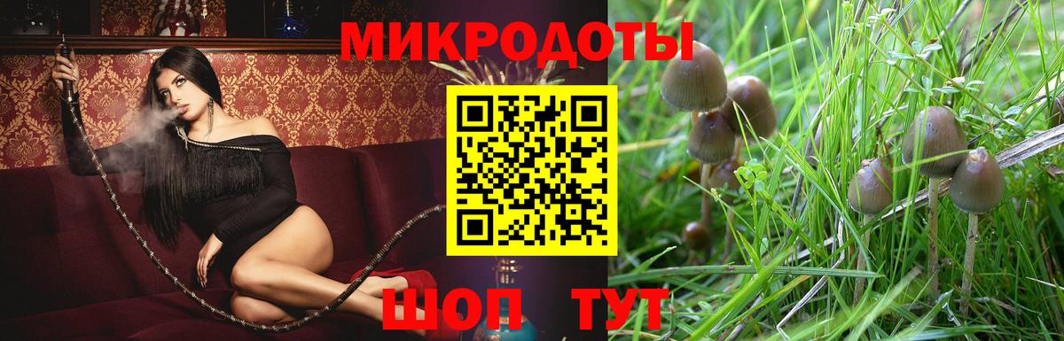 Псилоцибиновые грибы Cubensis Углич